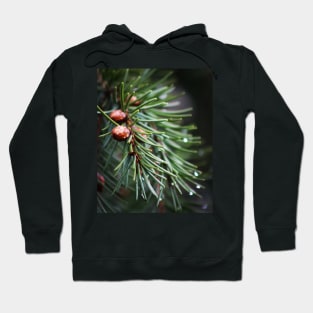 Fir tree Hoodie